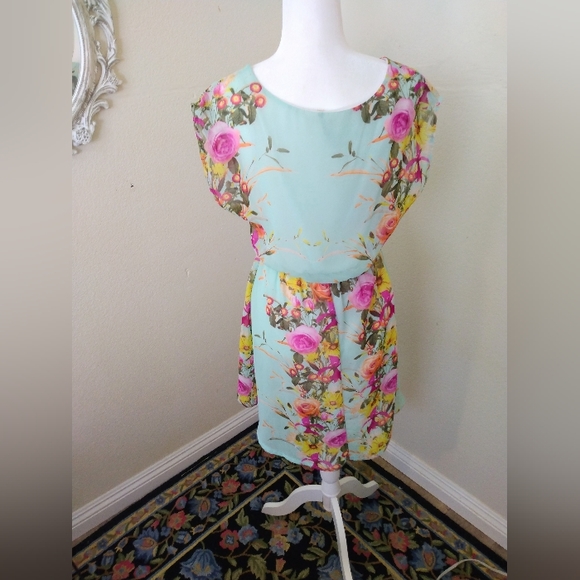 Triumph | Vintage Mint Green Floral Sheer High Low Dress - Picture 2 of 7